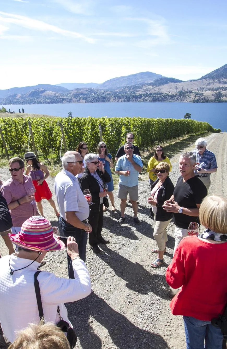 Guests on a CMS culinary tour among Okanagan vineyards